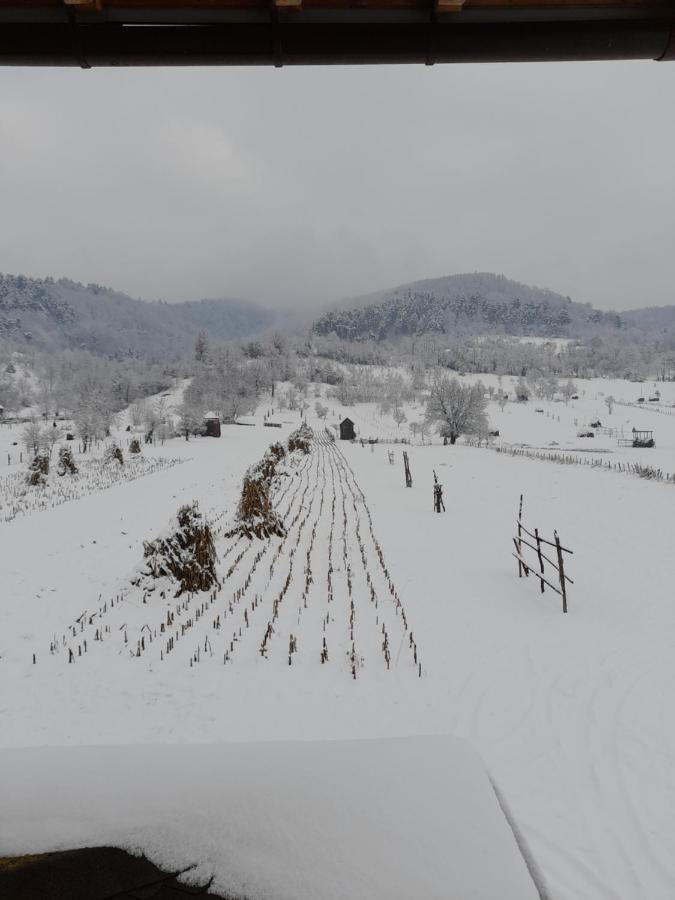 Pensiunea Sanziene Strîmtura Exteriér fotografie
