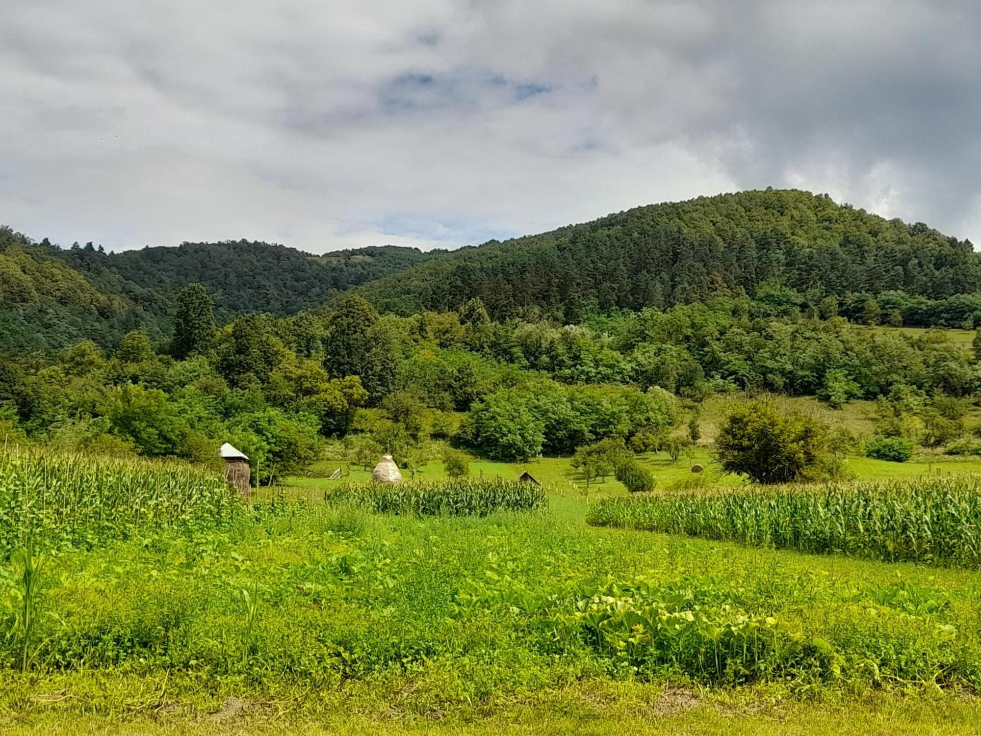 Pensiunea Sanziene Strîmtura Exteriér fotografie