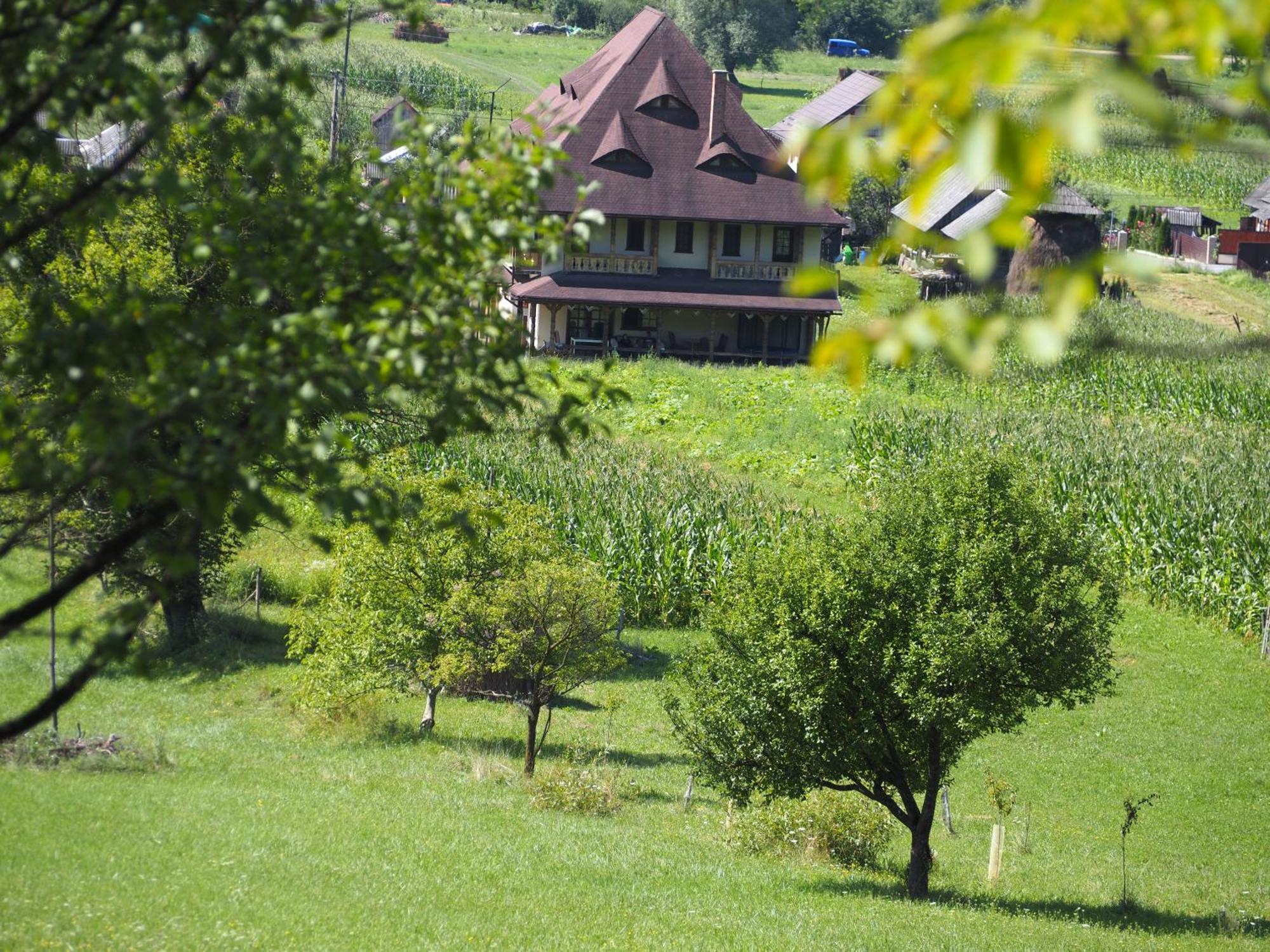 Pensiunea Sanziene Strîmtura Exteriér fotografie