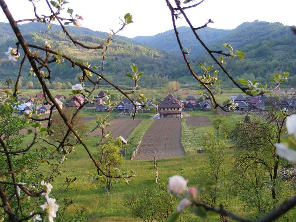 Pensiunea Sanziene Strîmtura Exteriér fotografie