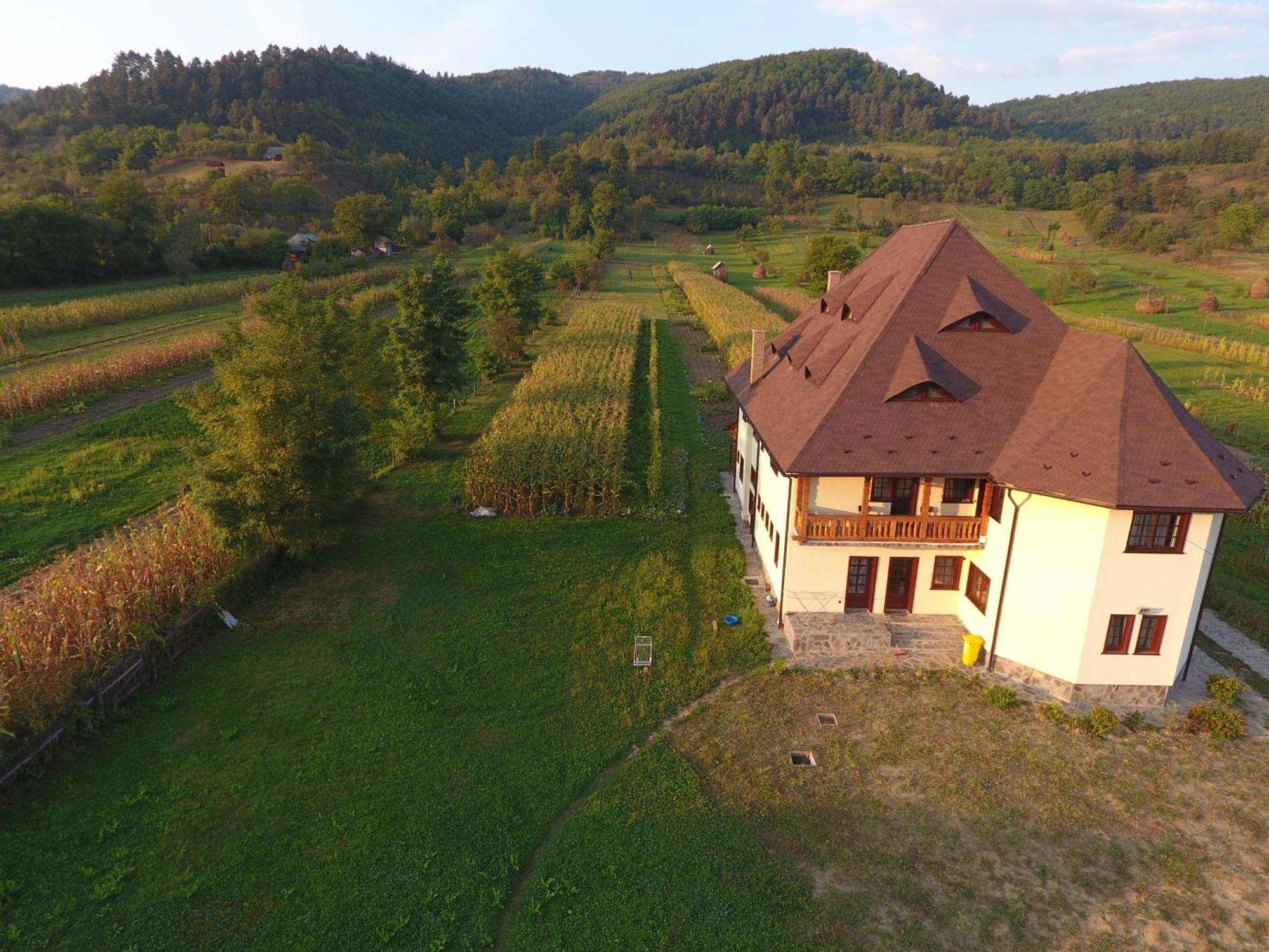 Pensiunea Sanziene Strîmtura Exteriér fotografie